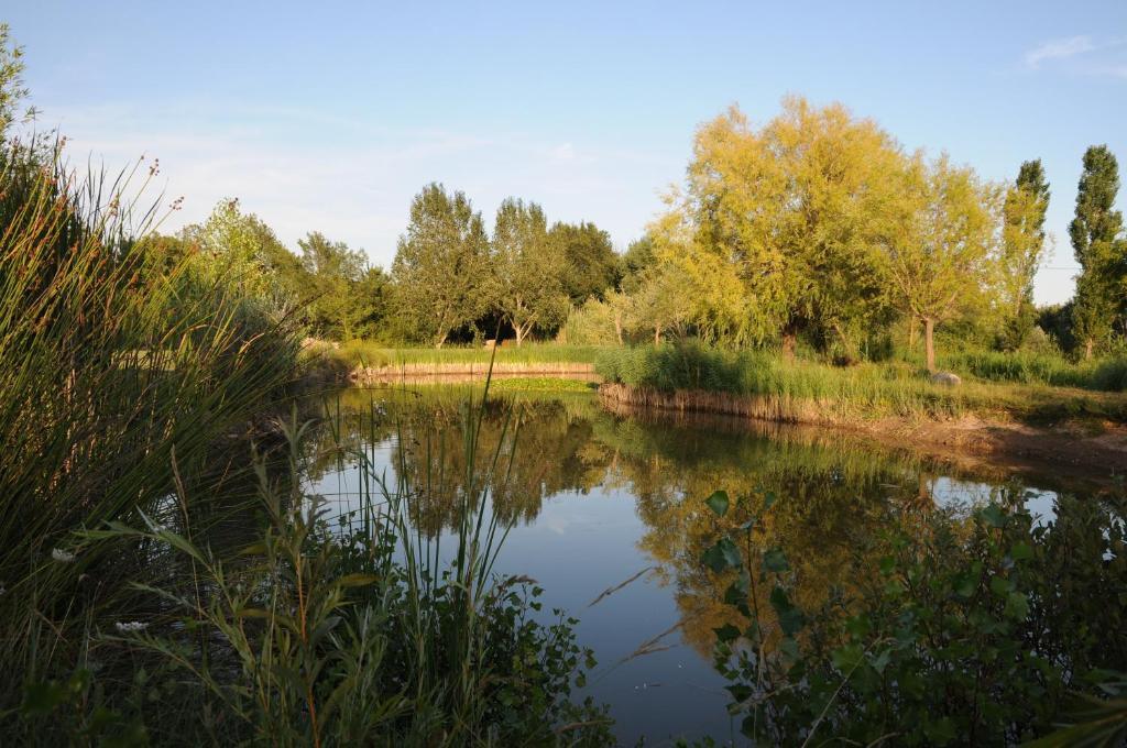 Domaine De La Bégude Hotel Fayence Kamer foto